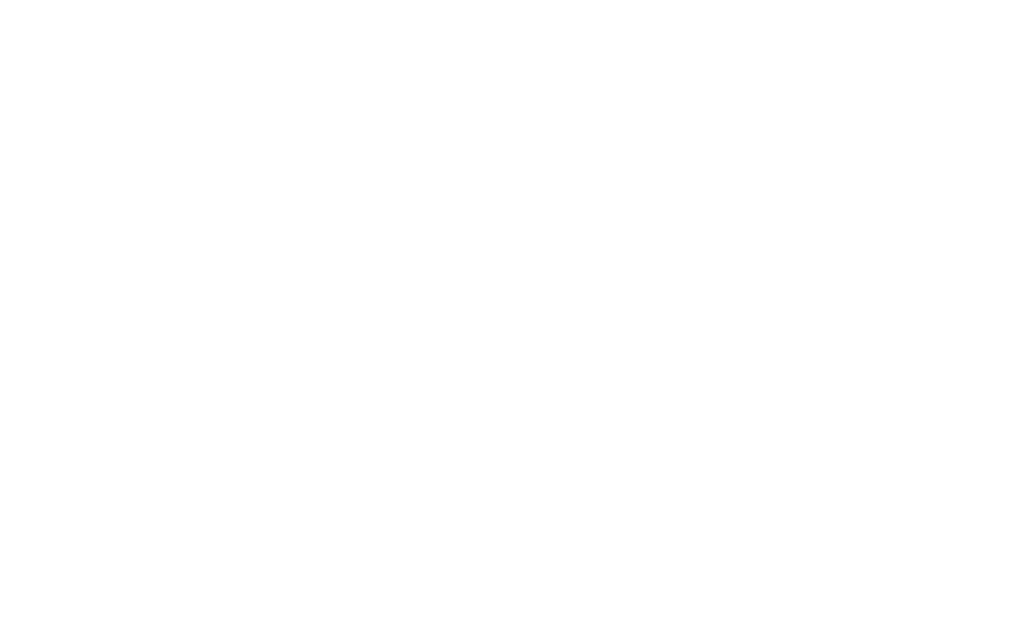 Logo Footer